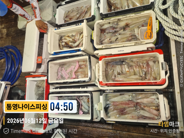 2026-06-12 04.50.29__(제목-통영나이스피싱).jpg