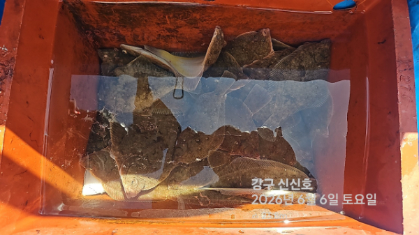 신신낚시 강구점 신신호_사진_20260606_8.jpg
