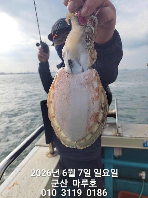 KakaoTalk_20260607_080920496.jpg