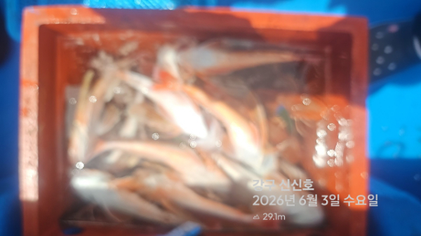 신신낚시 강구점 신신호_사진_20260603_9.jpg