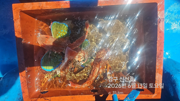 신신낚시 강구점 신신호_사진_20260613_5.jpg