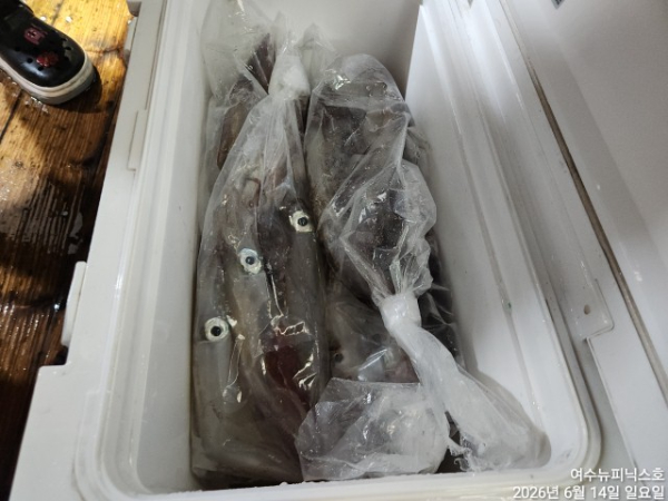 6월14일한치 (9).jpg
