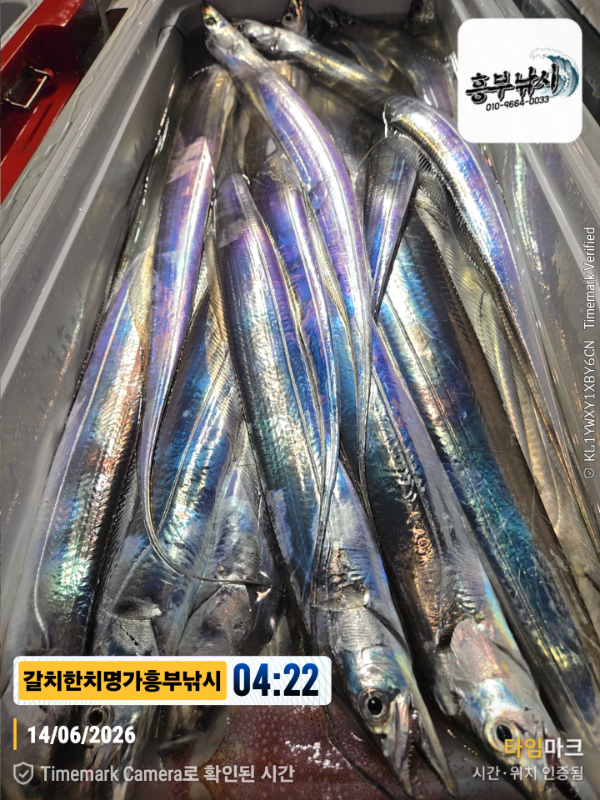 2026-06-14 04.22.29__(제목-갈치한치명가흥부낚시).jpg