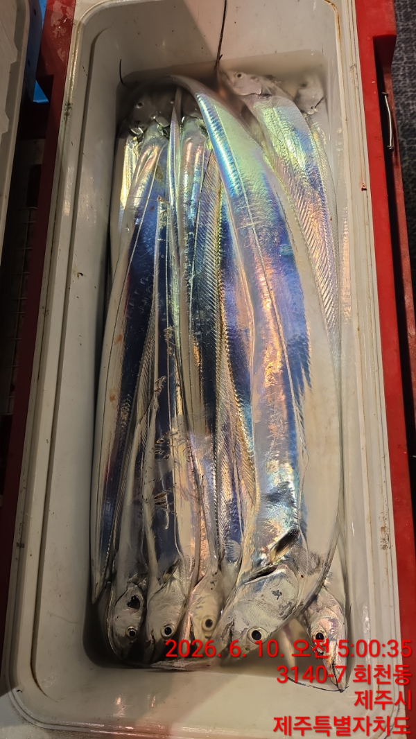 1000037004.jpg