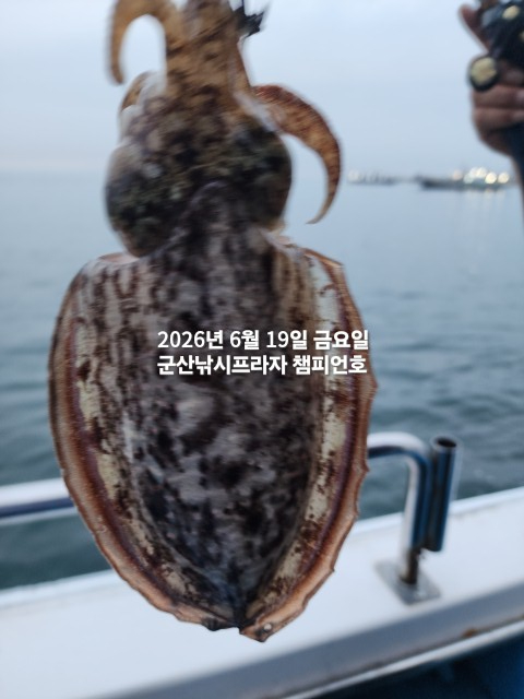 KakaoTalk_20260619_062639704_04.jpg