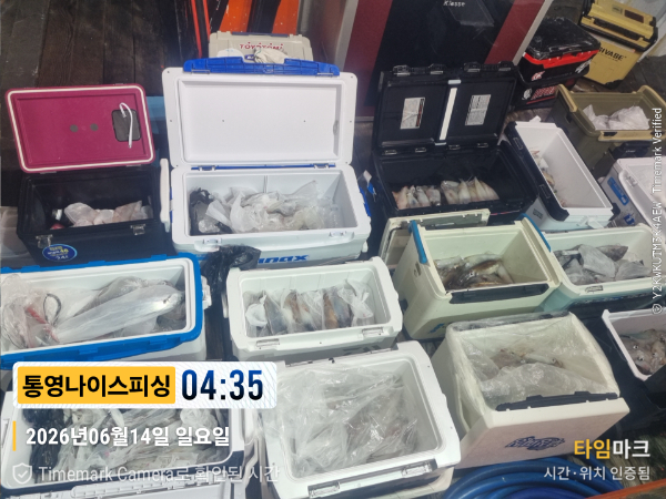 2026-06-14 04.35.37__(제목-통영나이스피싱).jpg