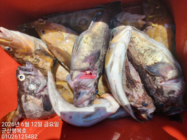 군산행복호_사진_20260612_13.jpg