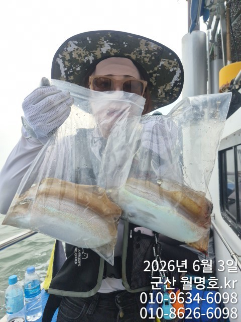 8200.jpg