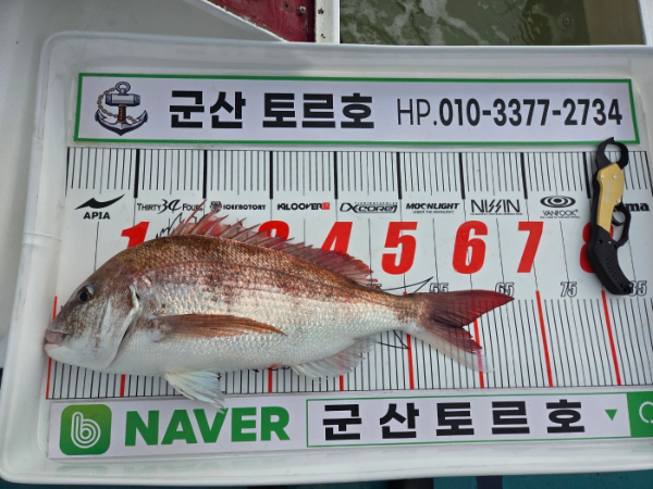 KakaoTalk_20260620_131844605.jpg
