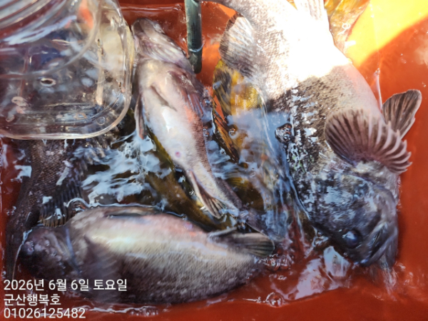 군산행복호_사진_20260606_8.jpg
