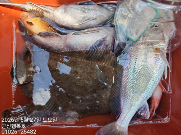 군산행복호_사진_20260627_10.jpg