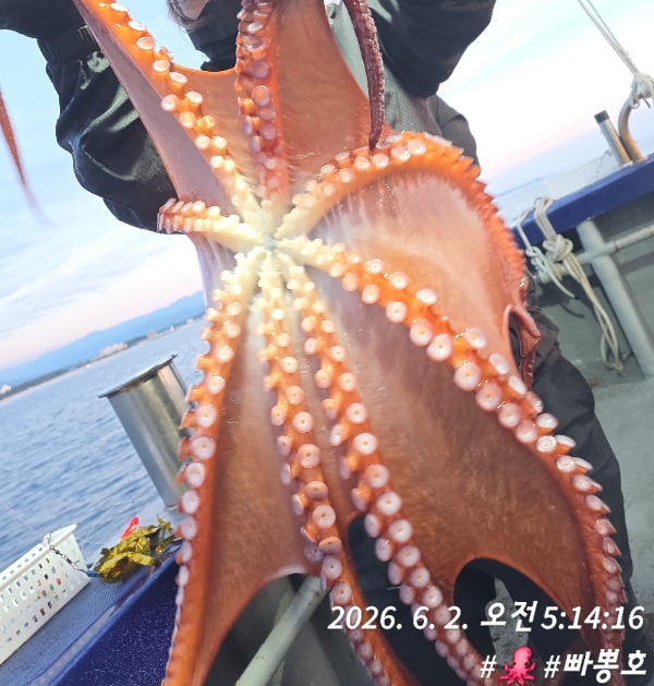 빠뽕호 (010_2127_0378)_사진_20260602_8.jpg