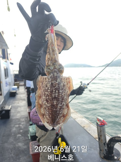 KakaoTalk_20260621_145721548_09.jpg