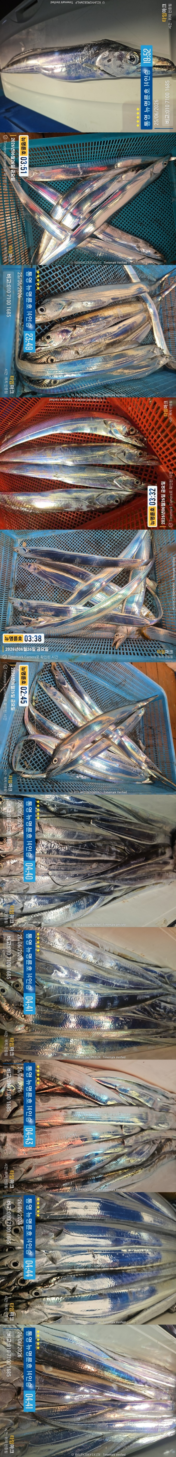 6-26갈치한치2.jpg