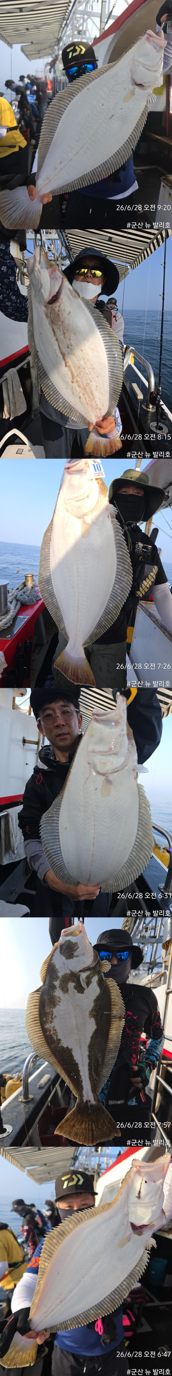 KakaoTalk_20260628_170241726-vert1111111.jpg