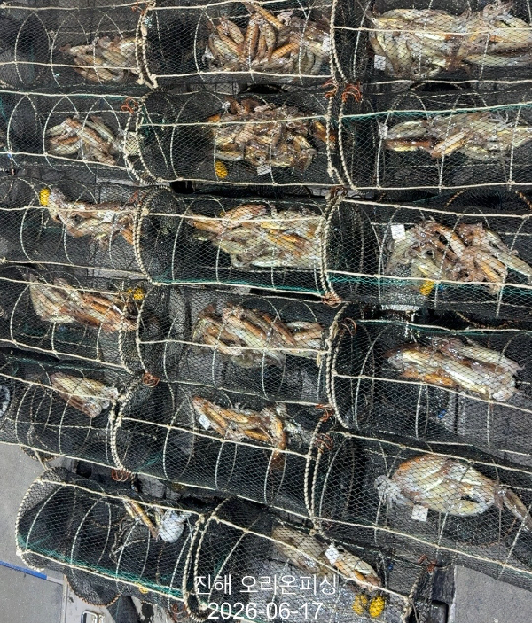 KakaoTalk_20260618_071652320_13.jpg