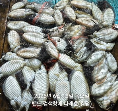 KakaoTalk_20260618_031424812.jpg