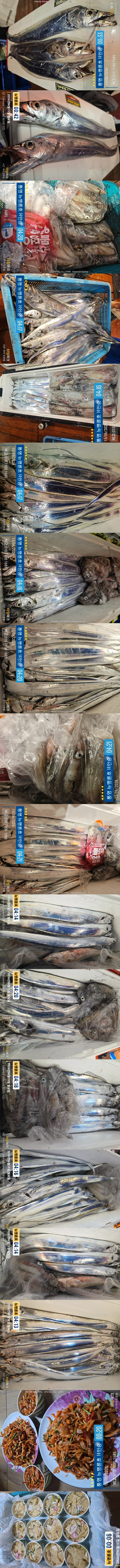 6-15갈치한치2.jpg
