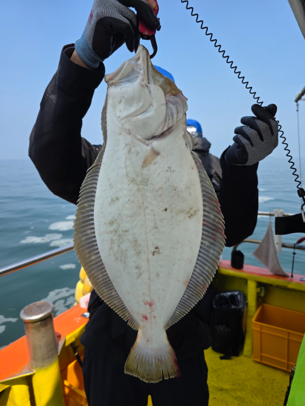 KakaoTalk_20260612_195147261_05.jpg