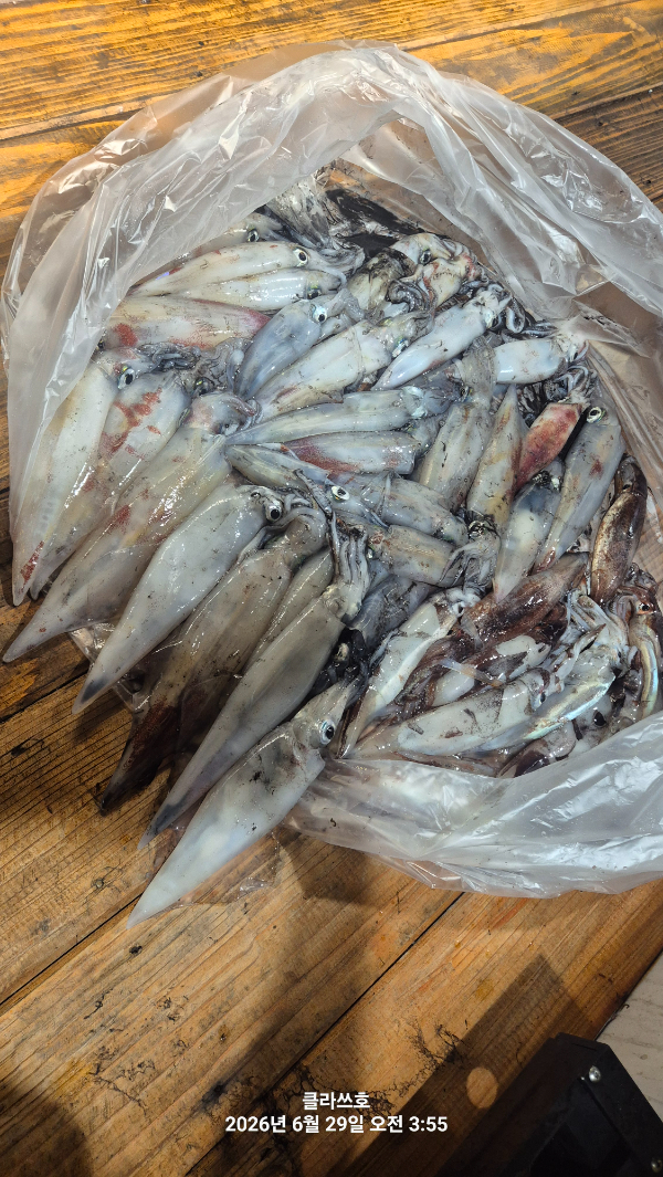 20260629_035557.jpg