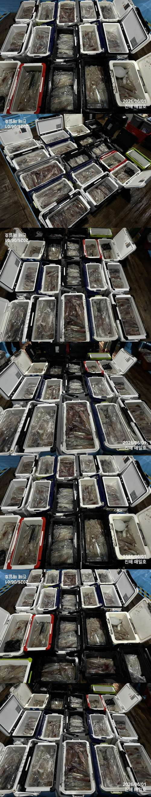 왕한치5.jpg