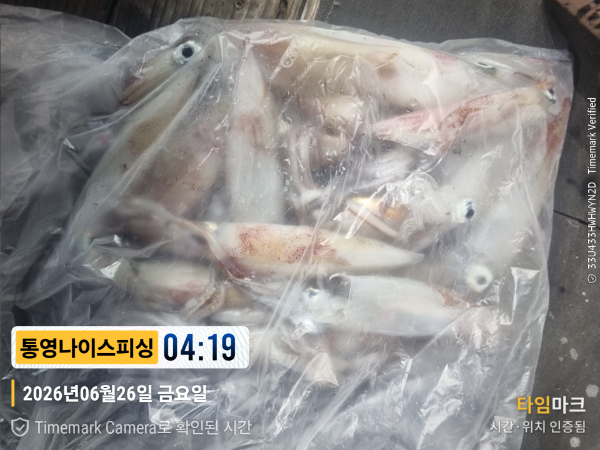 2026-06-26 04.19.31__(제목-통영나이스피싱).jpg