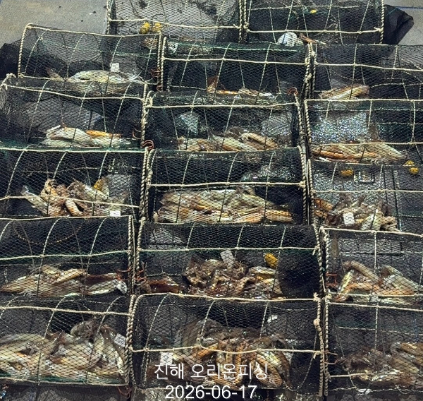 KakaoTalk_20260618_071652320_12.jpg