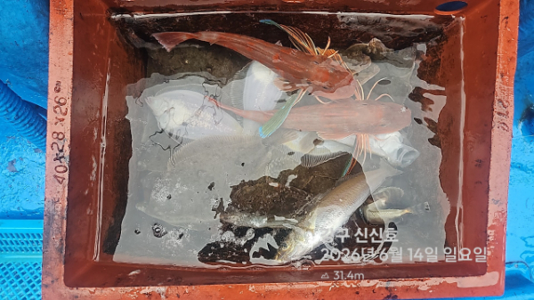 신신낚시 강구점 신신호_사진_20260614_8.jpg