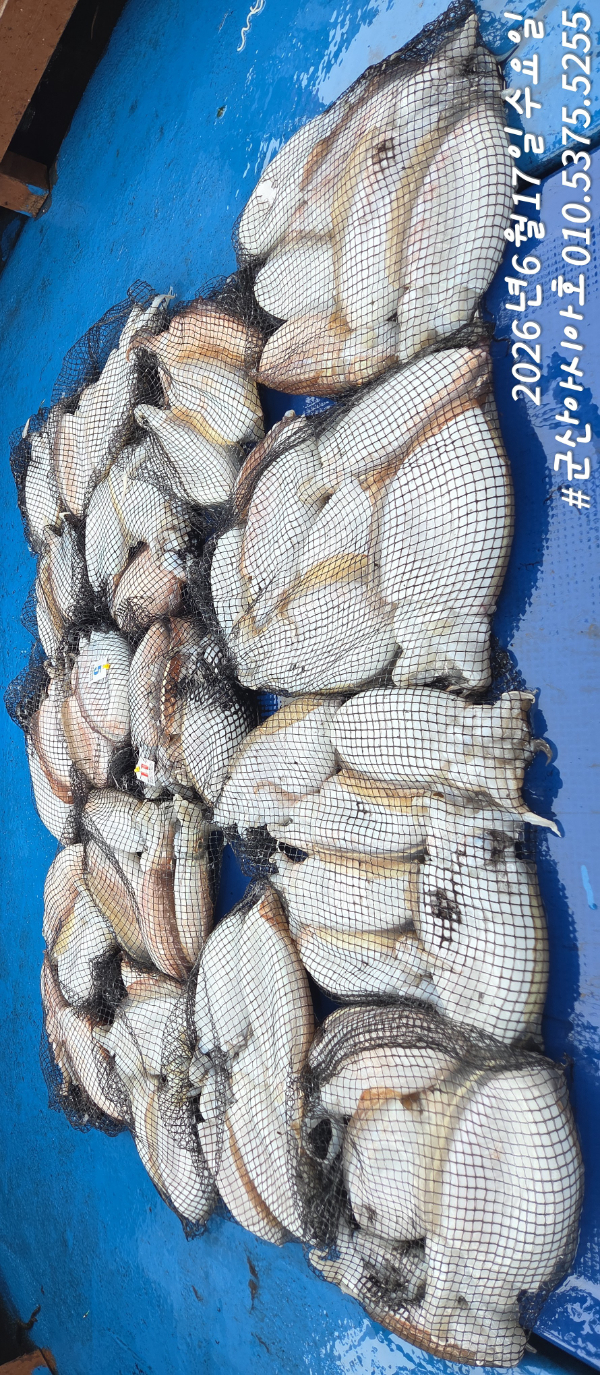 1781677544913.jpg