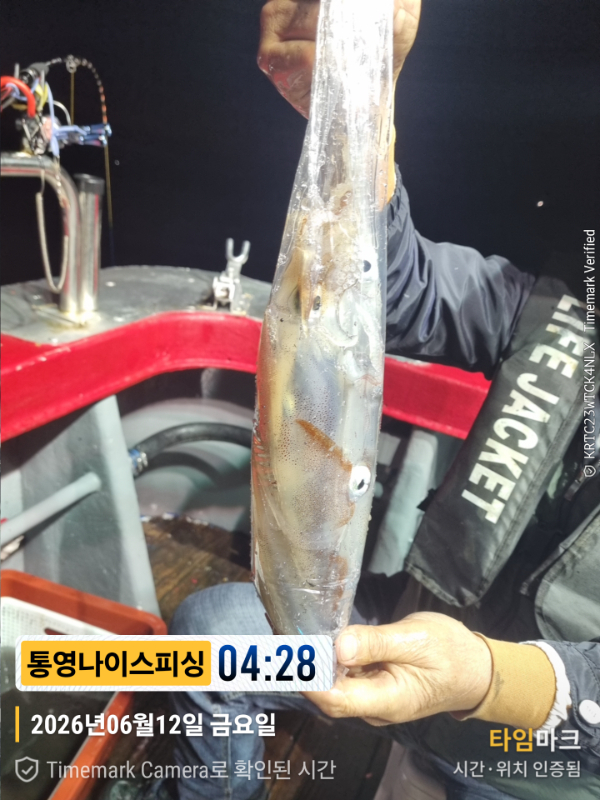 2026-06-12 04.28.38__(제목-통영나이스피싱).jpg