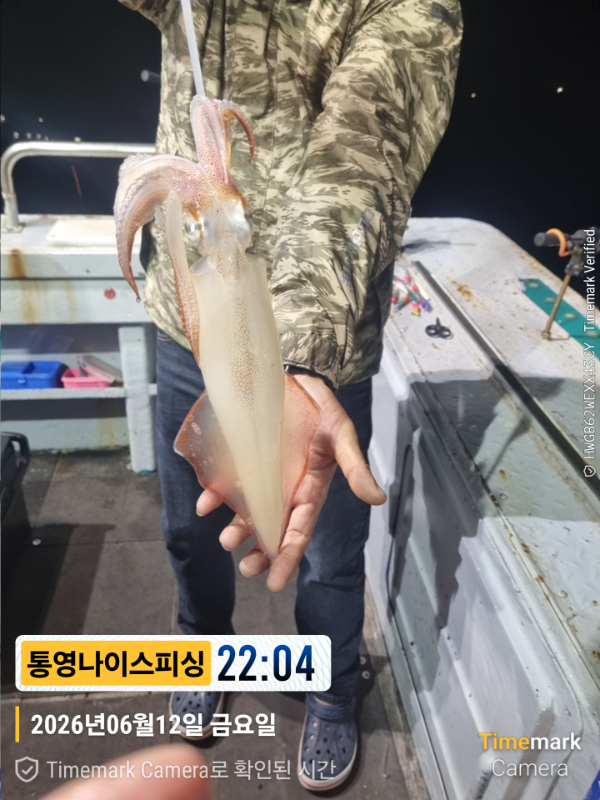 2026-06-12 22.04.57__(제목-통영나이스피싱).jpg