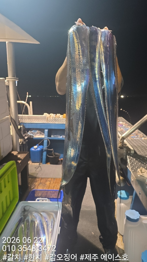 KakaoTalk_20260622_092142556_07.jpg