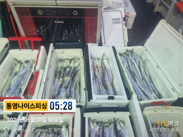 2026-06-30 05.28.31__(제목-통영나이스피싱).jpg
