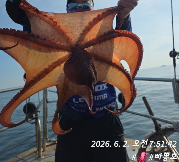 빠뽕호 (010_2127_0378)_사진_20260602_24.jpg