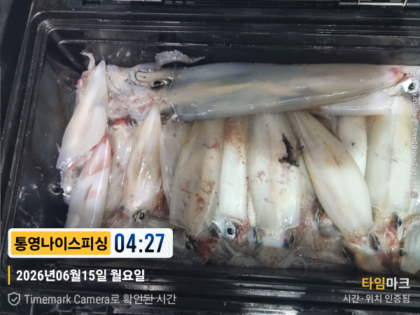 2026-06-15 04.27.46__(제목-통영나이스피싱).jpg
