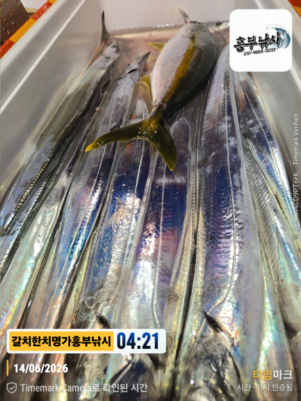 2026-06-14 04.21.13__(제목-갈치한치명가흥부낚시).jpg