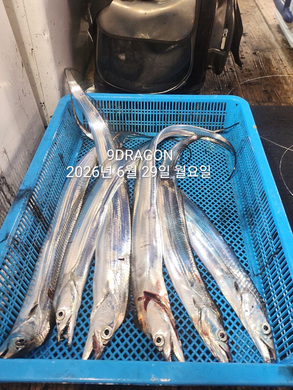 354DA1CB-2EC8-4D69-81AE-B4DE182207DB.jpeg