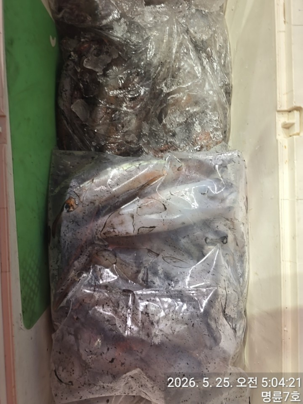 KakaoTalk_20260604_192926463_17.jpg