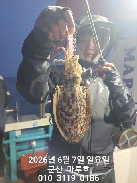 KakaoTalk_20260607_074226052.jpg
