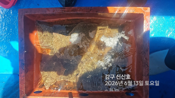 신신낚시 강구점 신신호_사진_20260613_8.jpg
