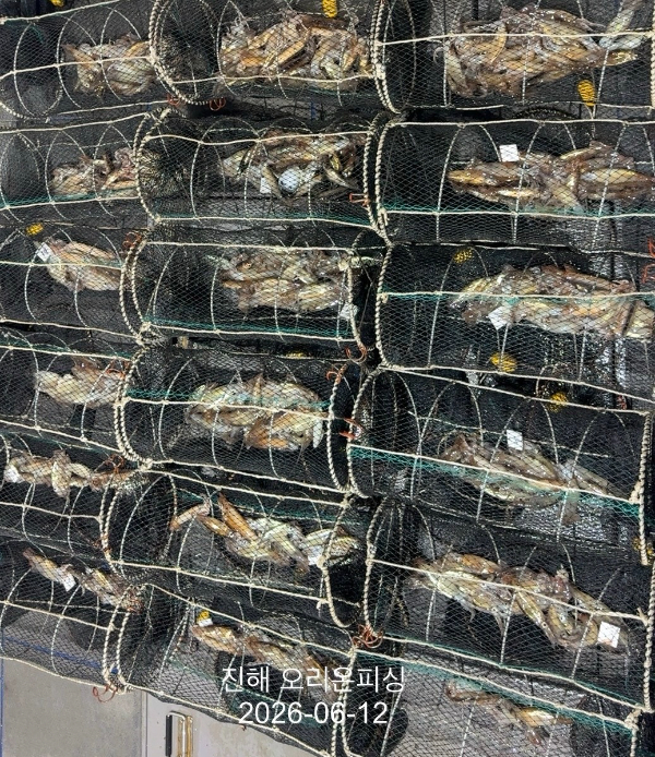 KakaoTalk_20260612_115500292_01.jpg