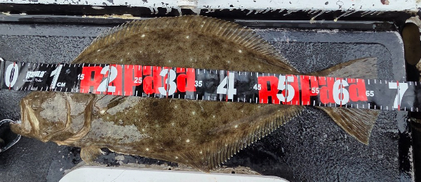 18947.jpg