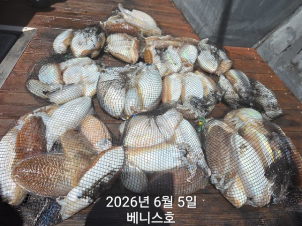 KakaoTalk_20260605_143123897_09.jpg