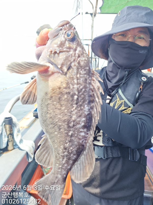 군산행복호_사진_20260603_6.jpg