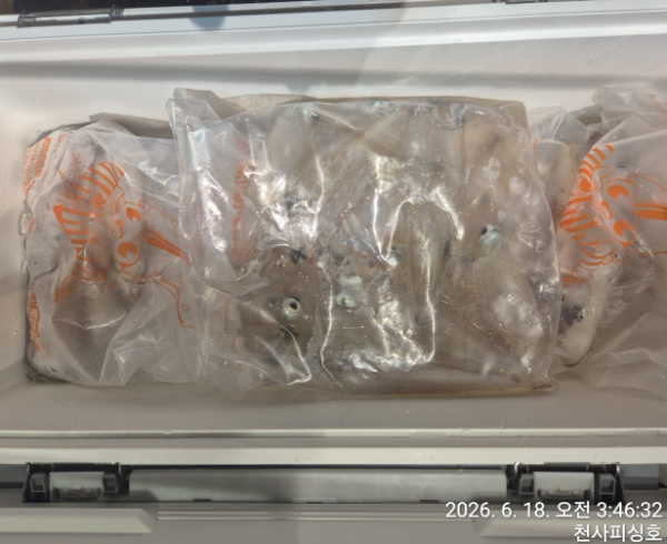 1004피싱_사진_20260618_10.jpg