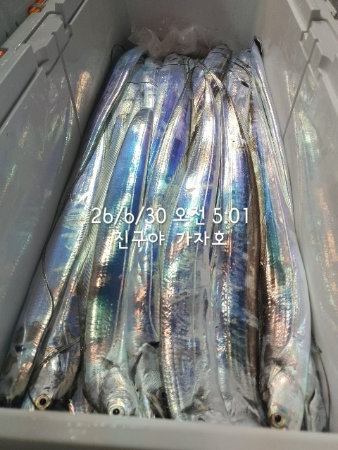1000060470.jpg