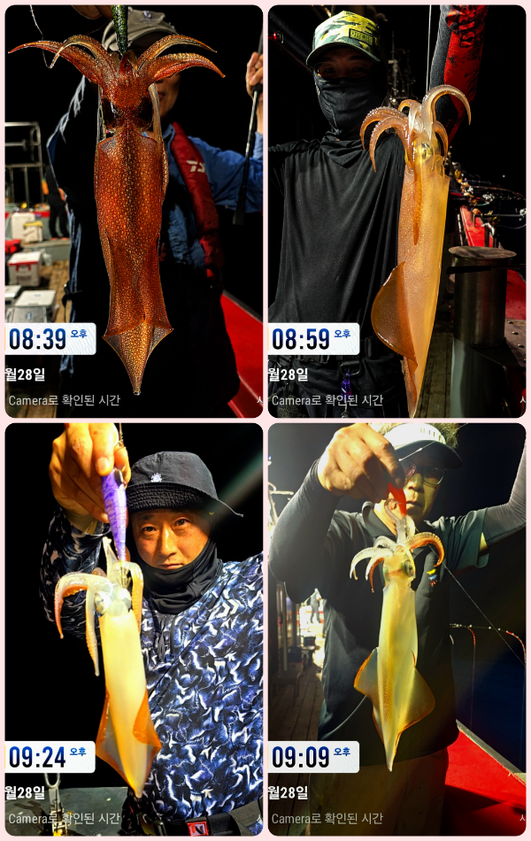 KakaoTalk_20260629_063522543_17-tile.png