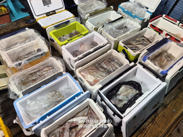 신아라호 한치 칼치 오징어_사진_20260628_14.jpg