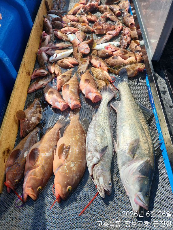 1000040582.jpg