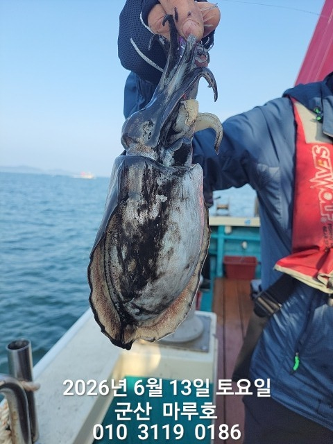 KakaoTalk_20260613_080713808.jpg